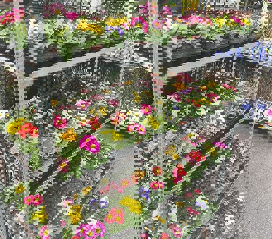 flowers outside chana stores in yeadon