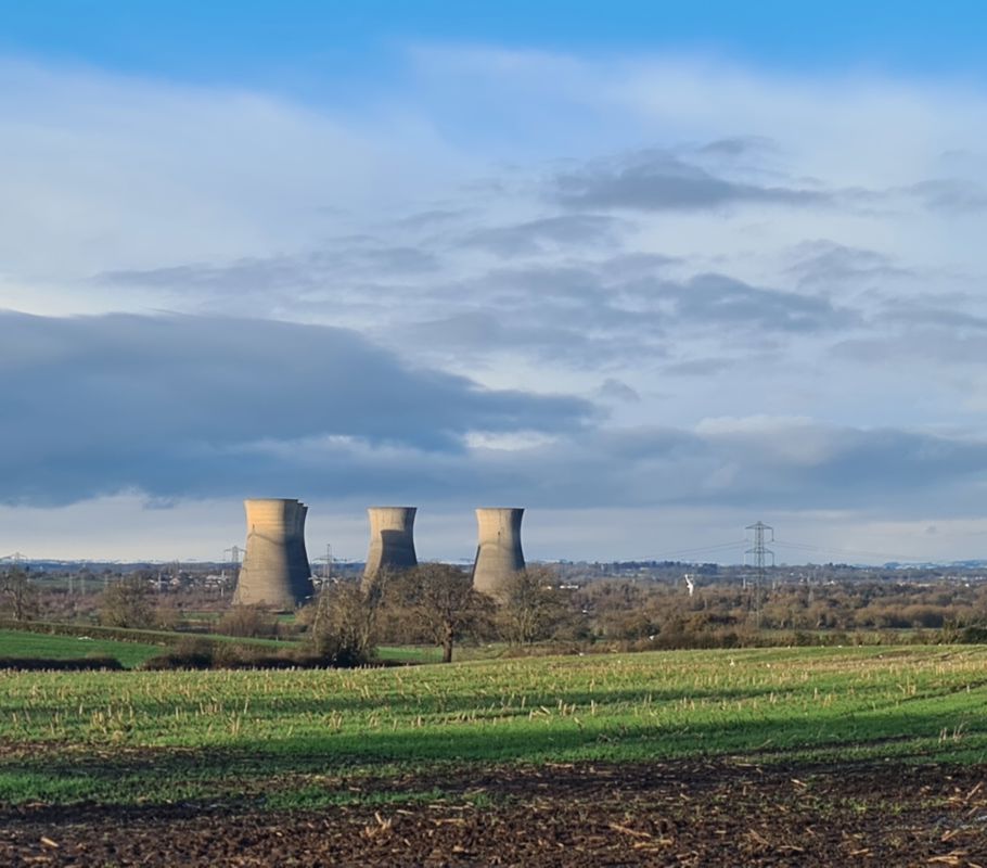 plant at willington and repton