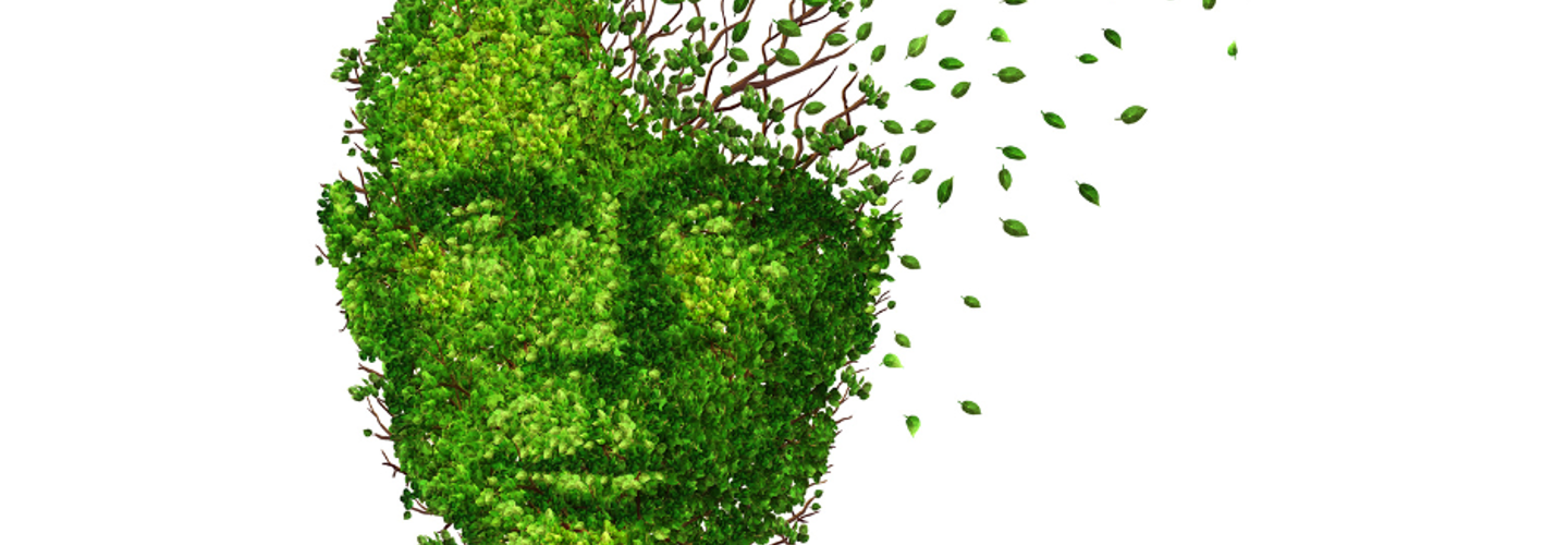 Dementia and memory loss graphic