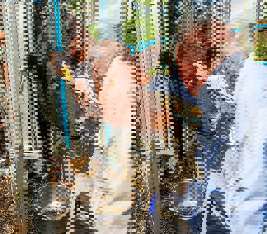 Client petting a cow