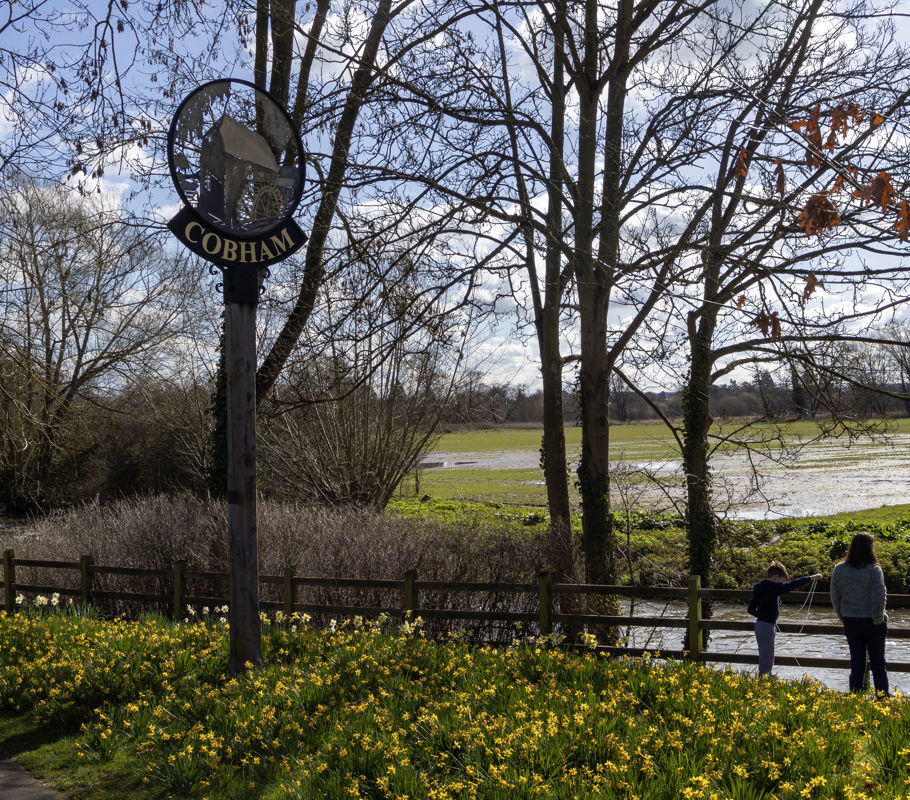 Cobham sign and trees