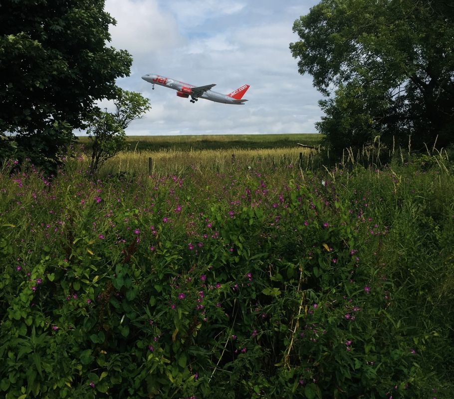 Passenger plane taking off from Leeds Bradford Airport, viewed from Yeadon Tarn during the Walk for Hearts challenge.