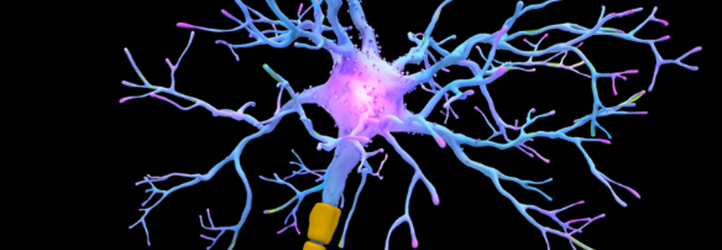 Neuron cell