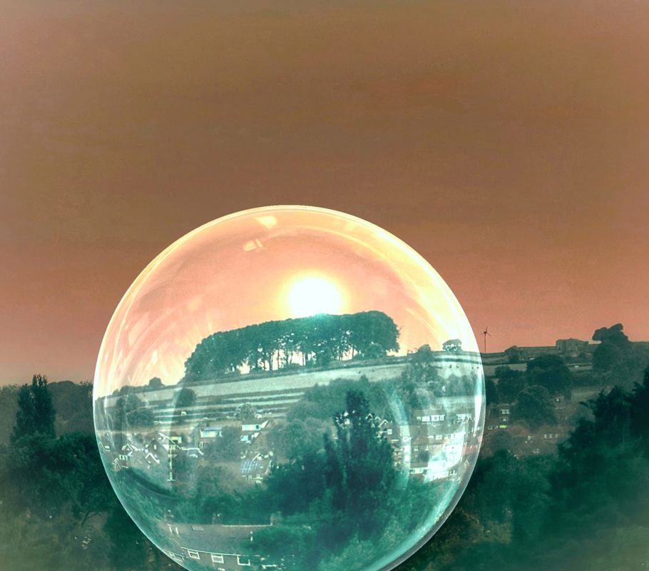 Guiseley Elephant Trees