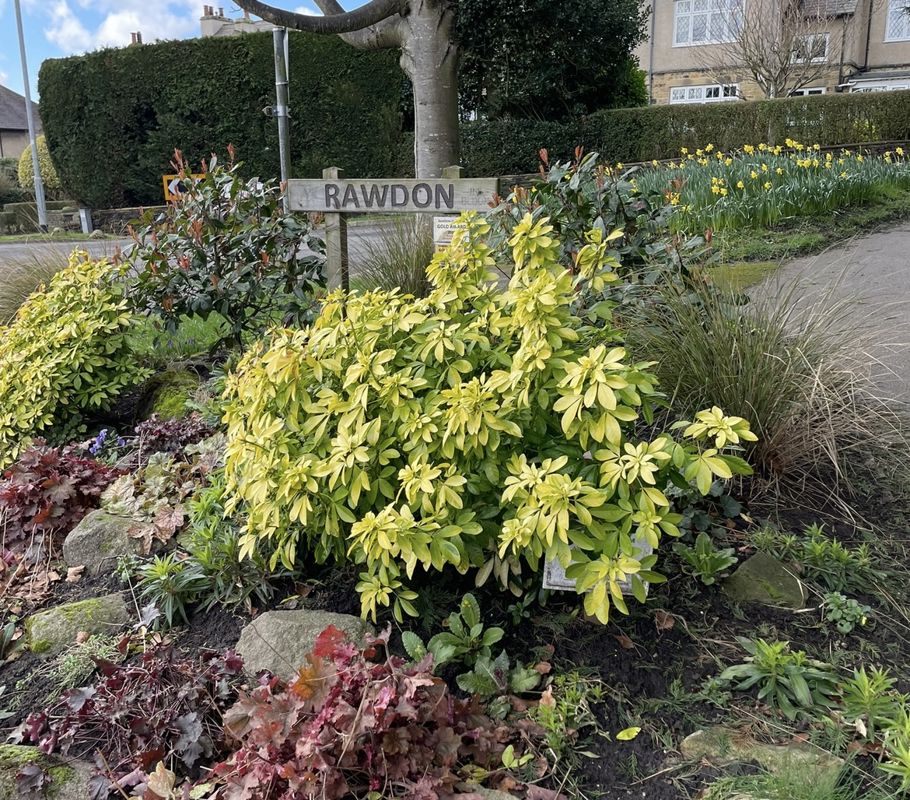 Rawdon village sign surrounded by colourful plants and flowers at the entrance to the village.