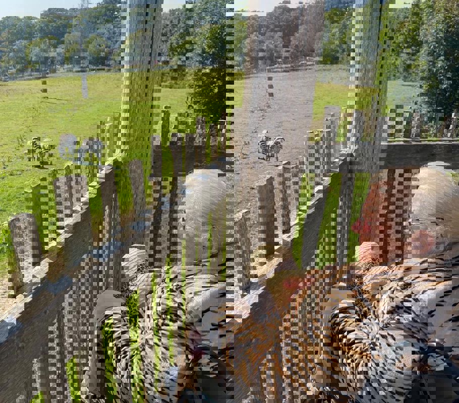 Marwell Zoo trip with home care romsey client