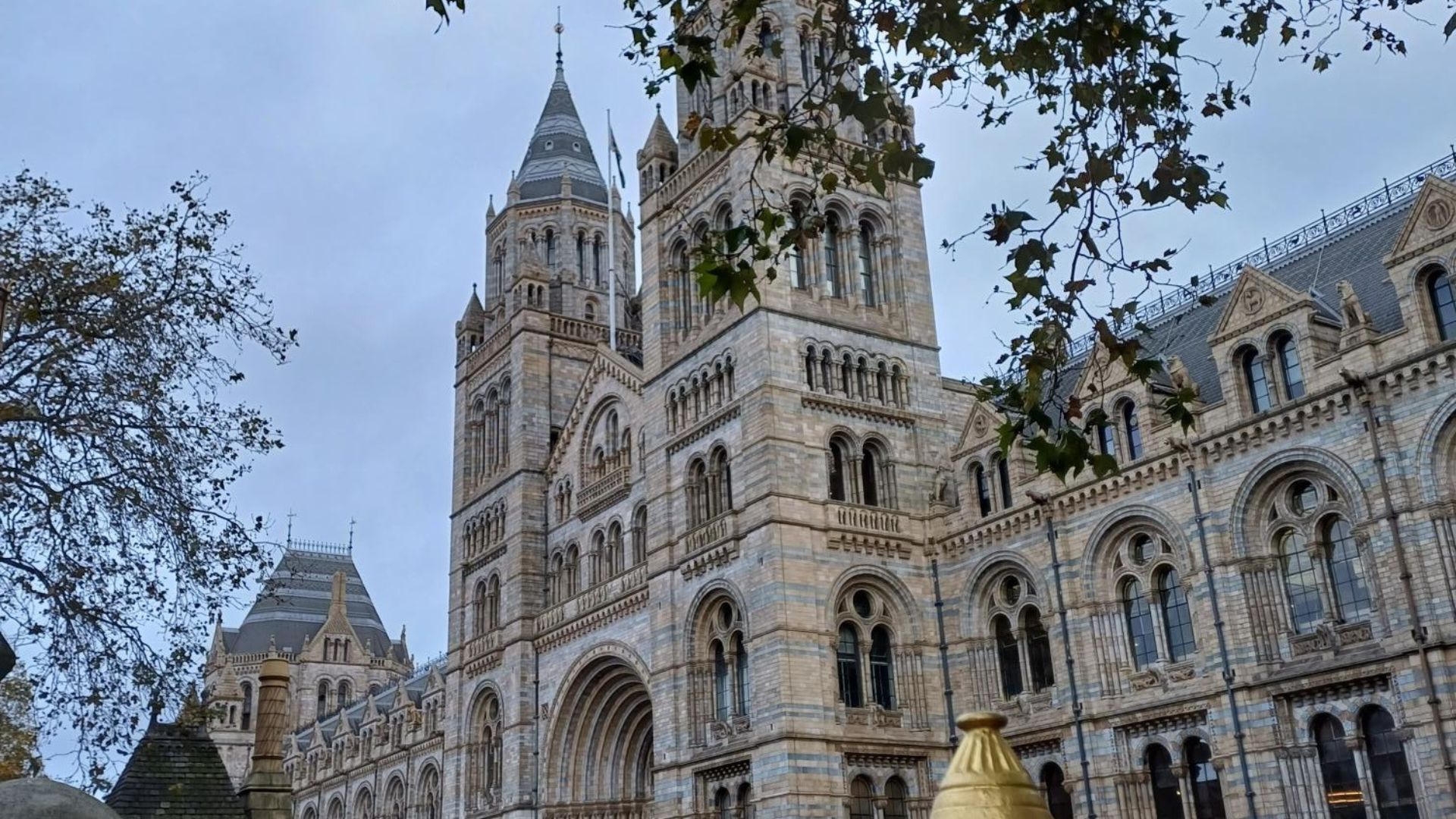 Quality Homecare in Kensington Right at Home Central London