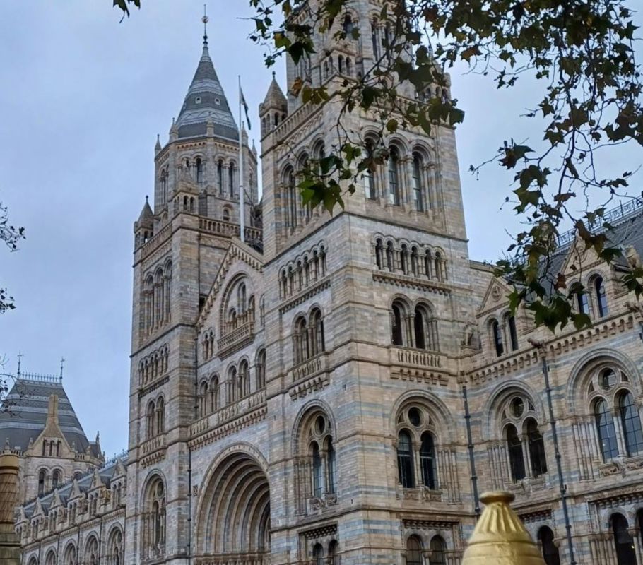 Natural History Museum where we take homecare Clients in Kensington