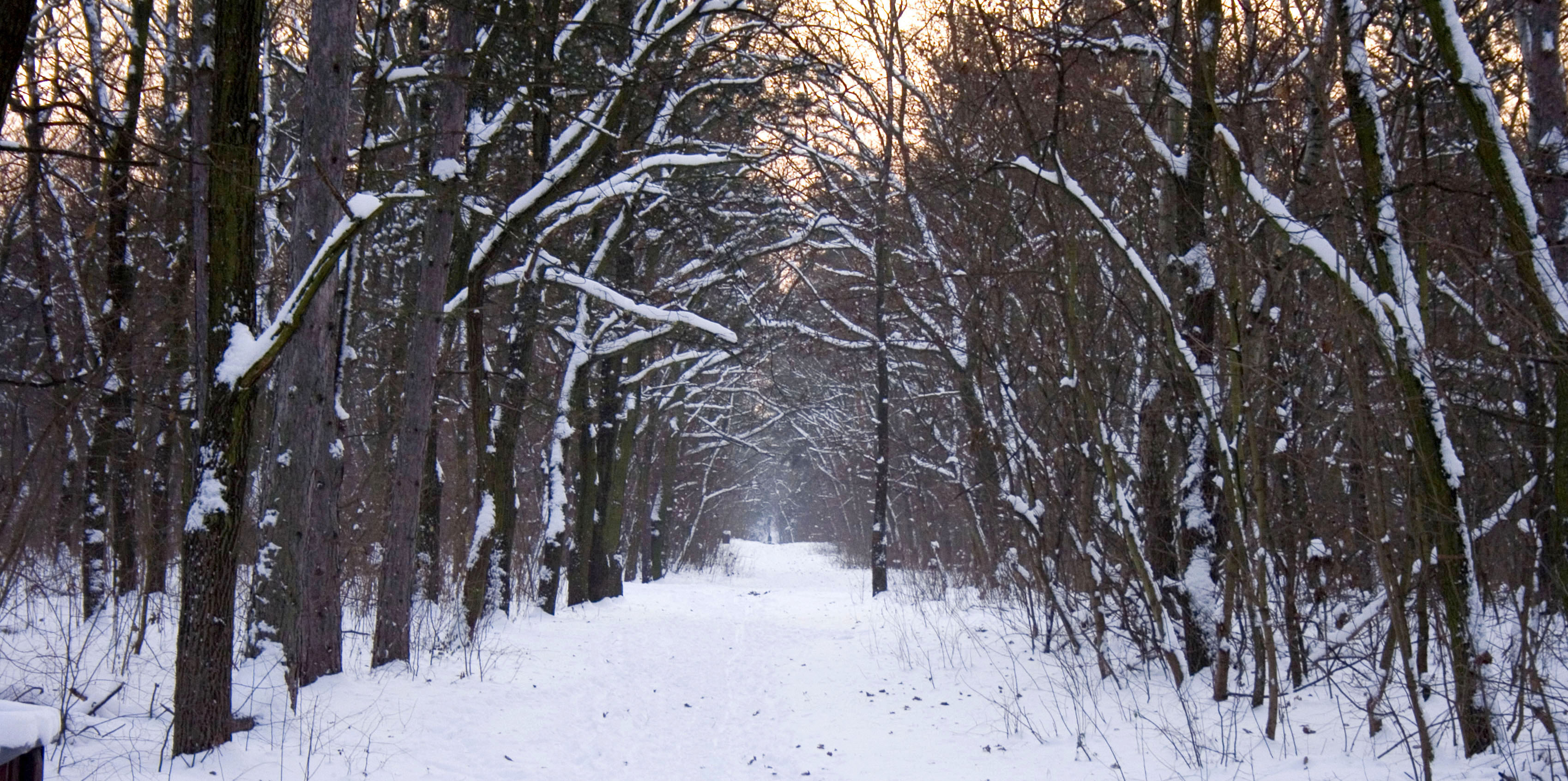 Right at Home Aylesbury's top tips for winter