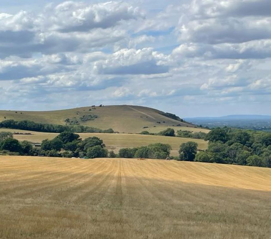 South Downs National Park near Hassocks