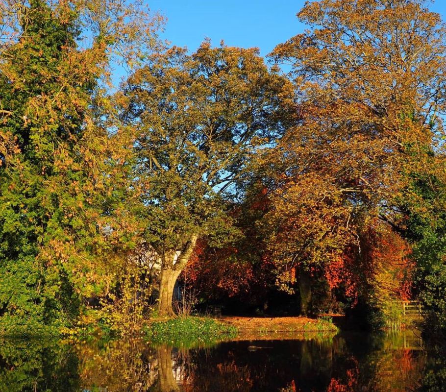 trees and pond in park in guiseley
