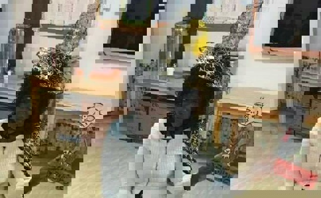 .