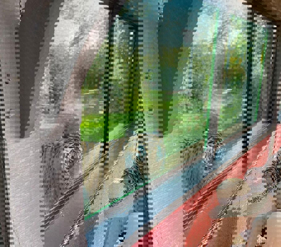 Marwell Zoo trip with home care romsey client