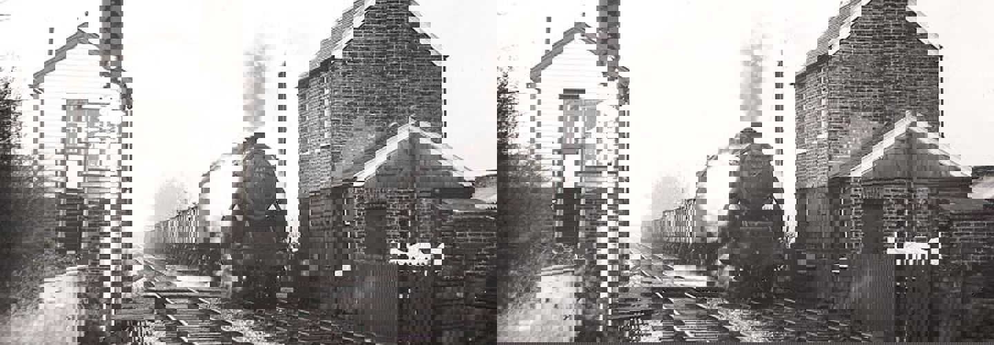 Woodsmoor