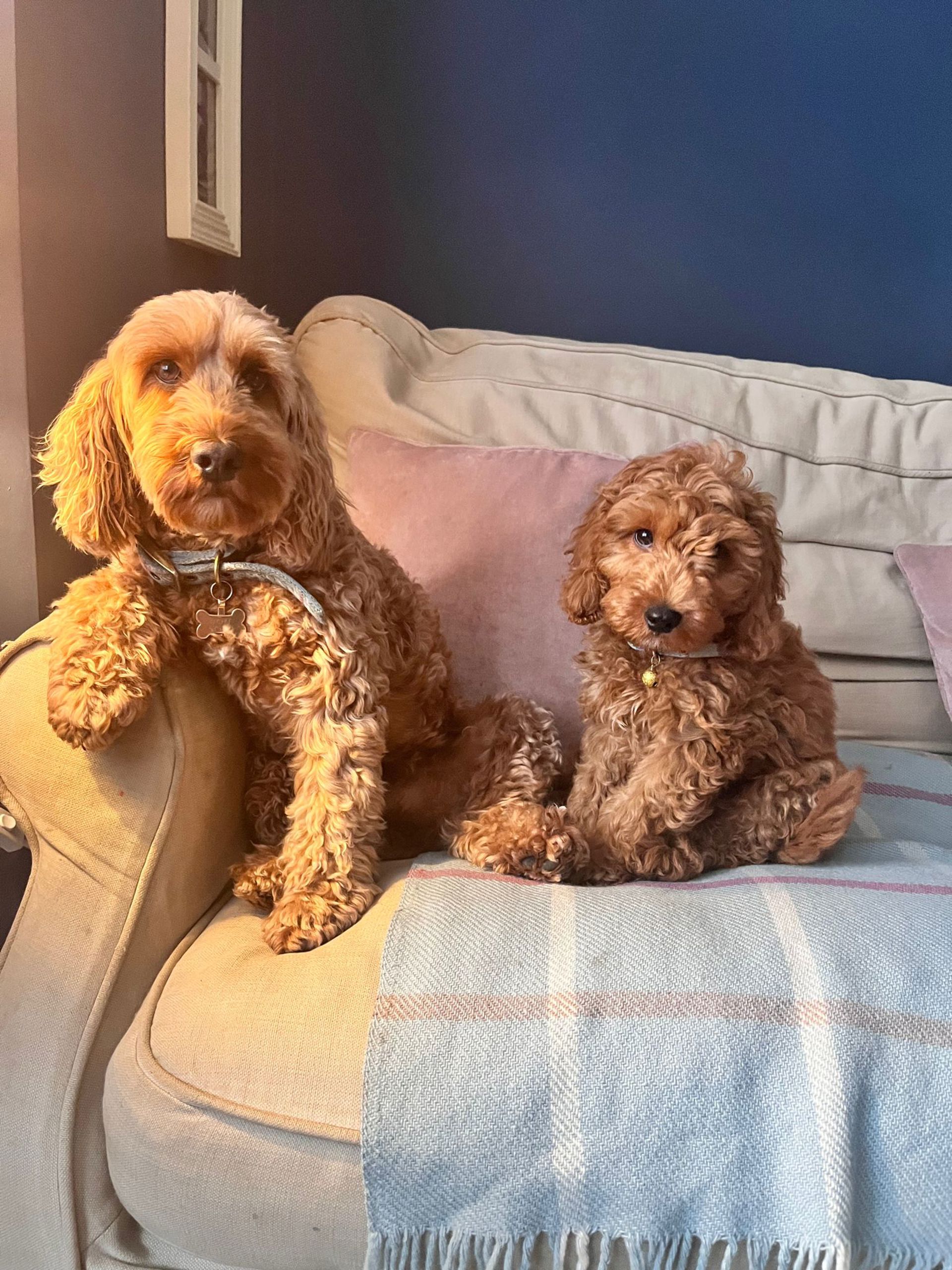 Maggie and Rupert