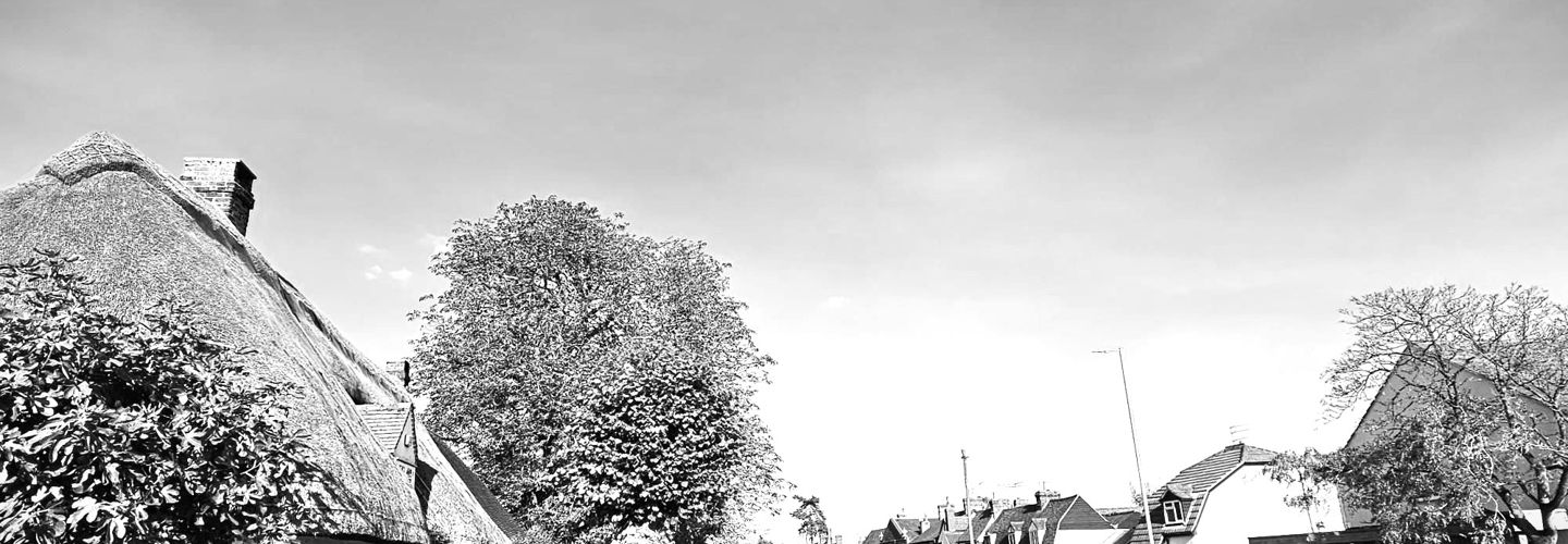 road with trees and thatched cottages in Stansted