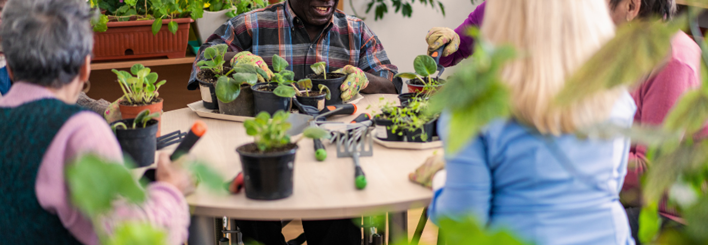 Senior citizens potting plants