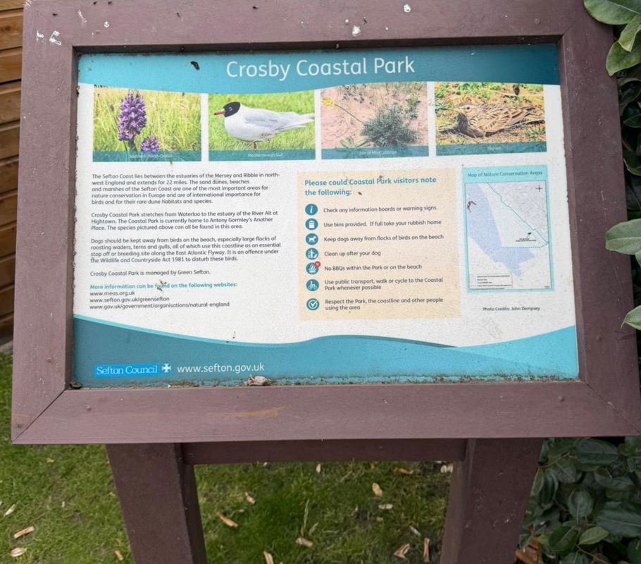 Sign about wildlife and plants at Crosby Coastal Park