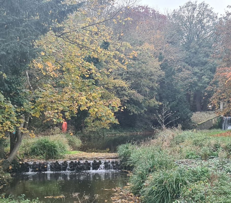 trees and stream in a park in Rolleston