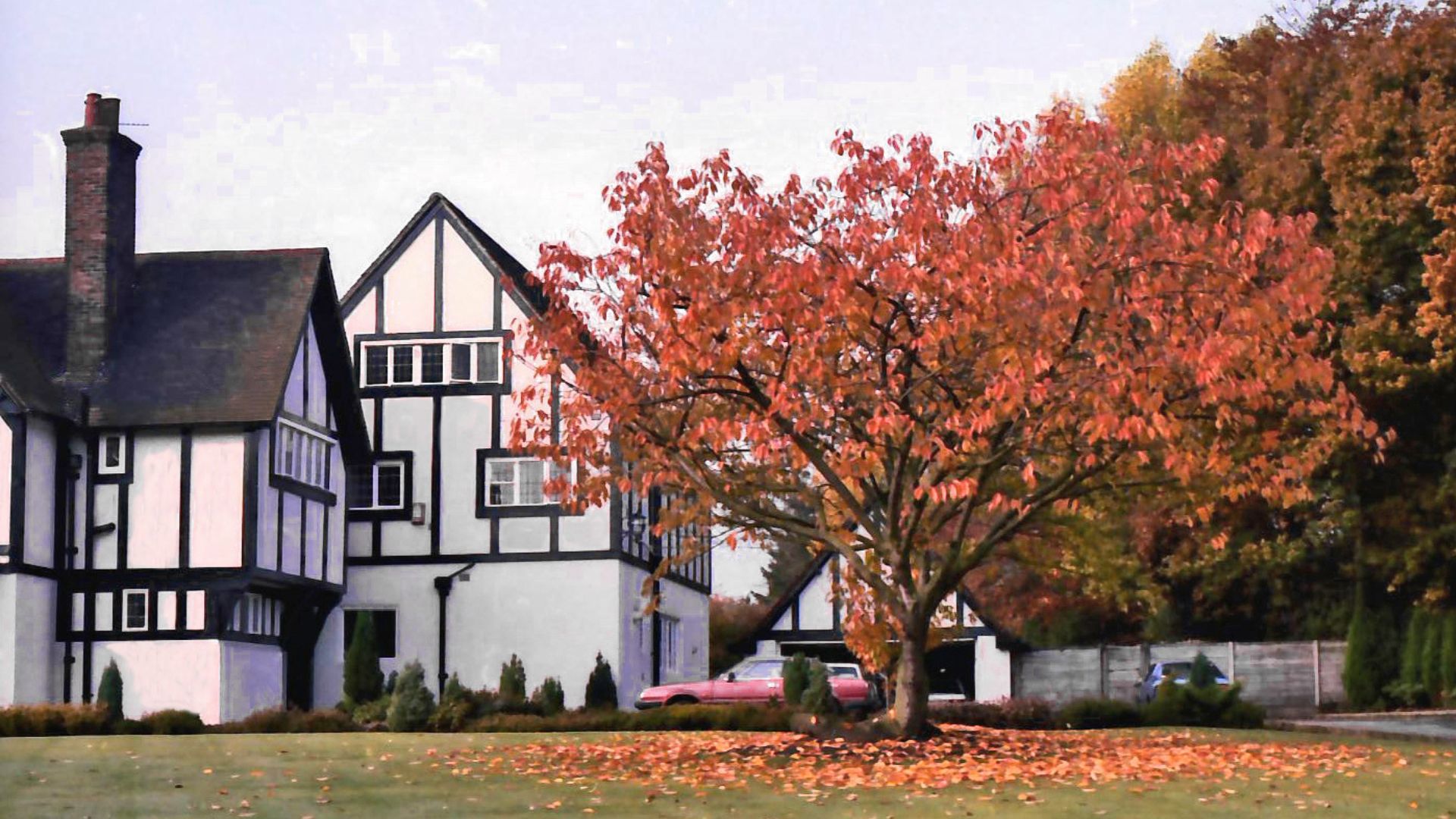 autumn tree in hale barns