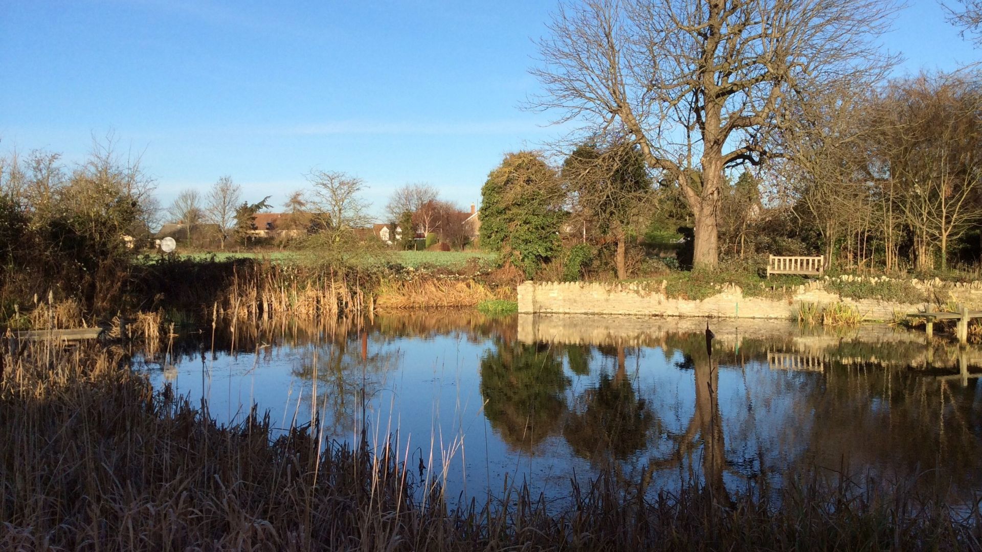 village pond in biddenham