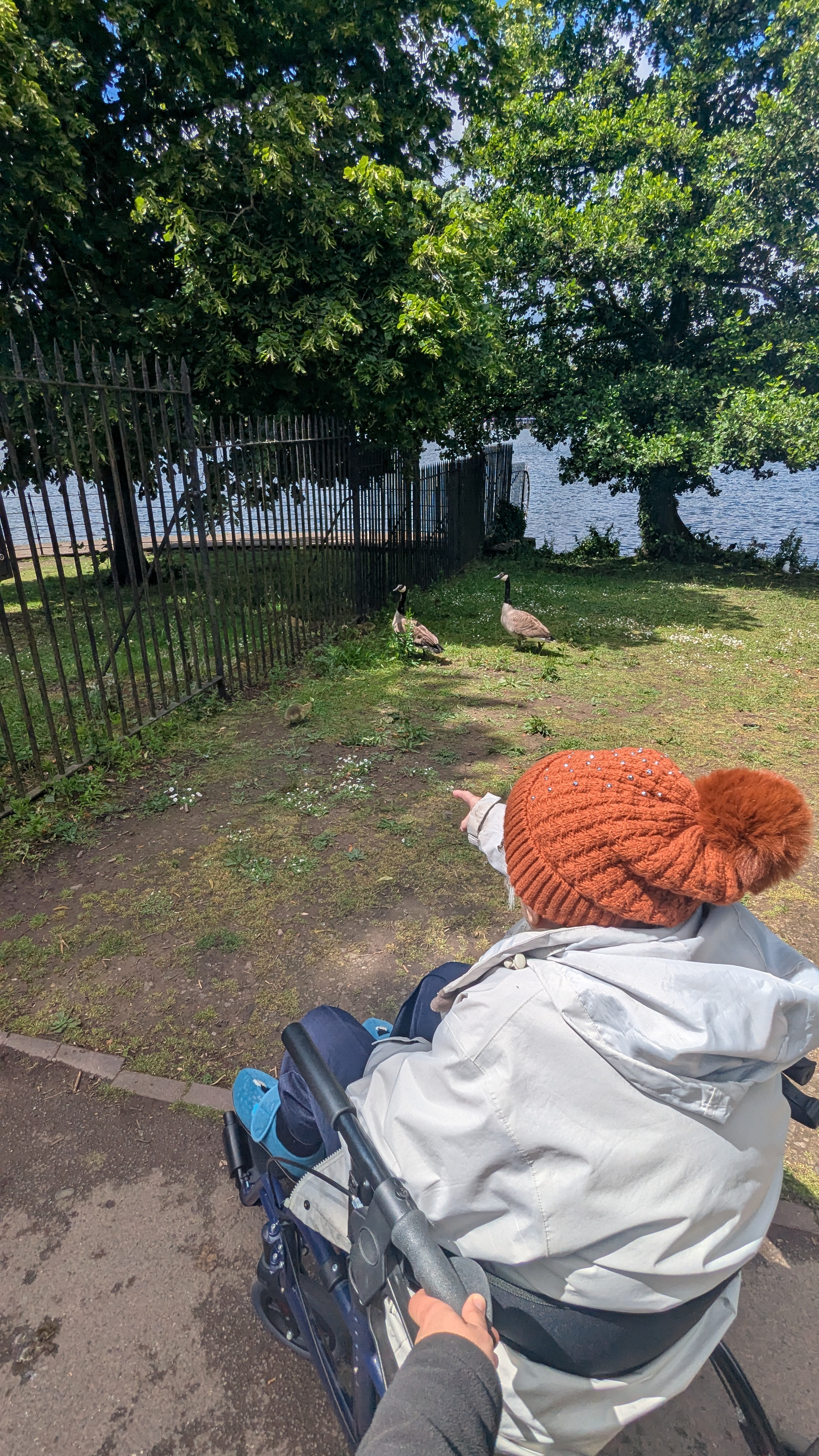 A Carer pushes the wheelchair of an elderly client as they look at the birds in the park