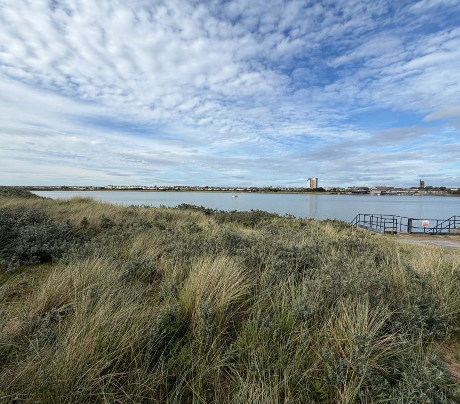 View of Crosby Beach