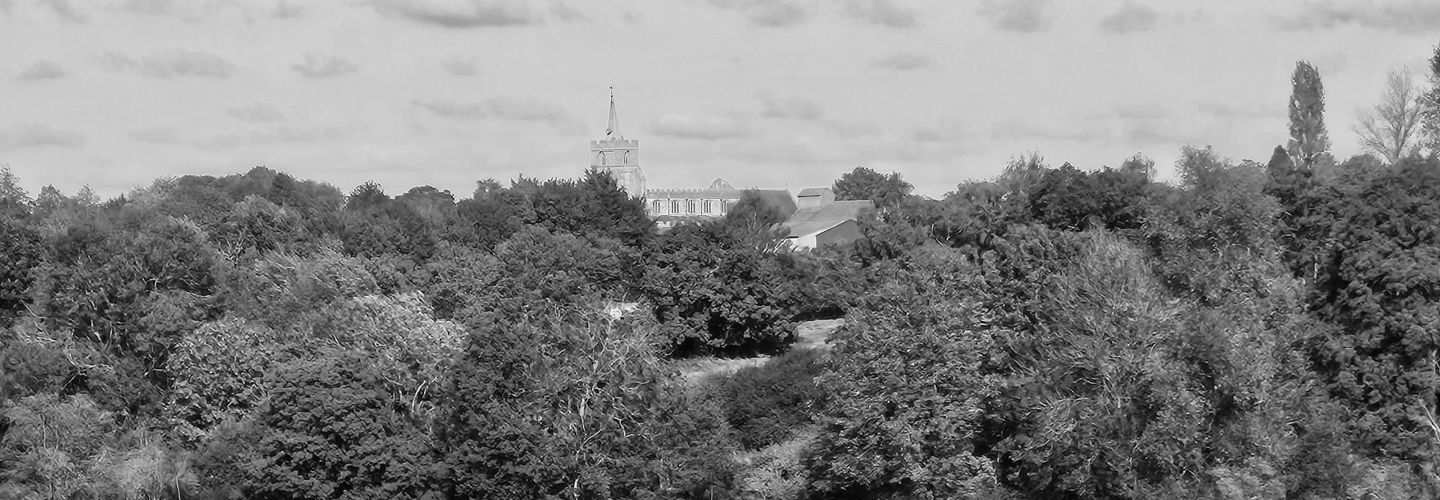 view of stebbing from a distance